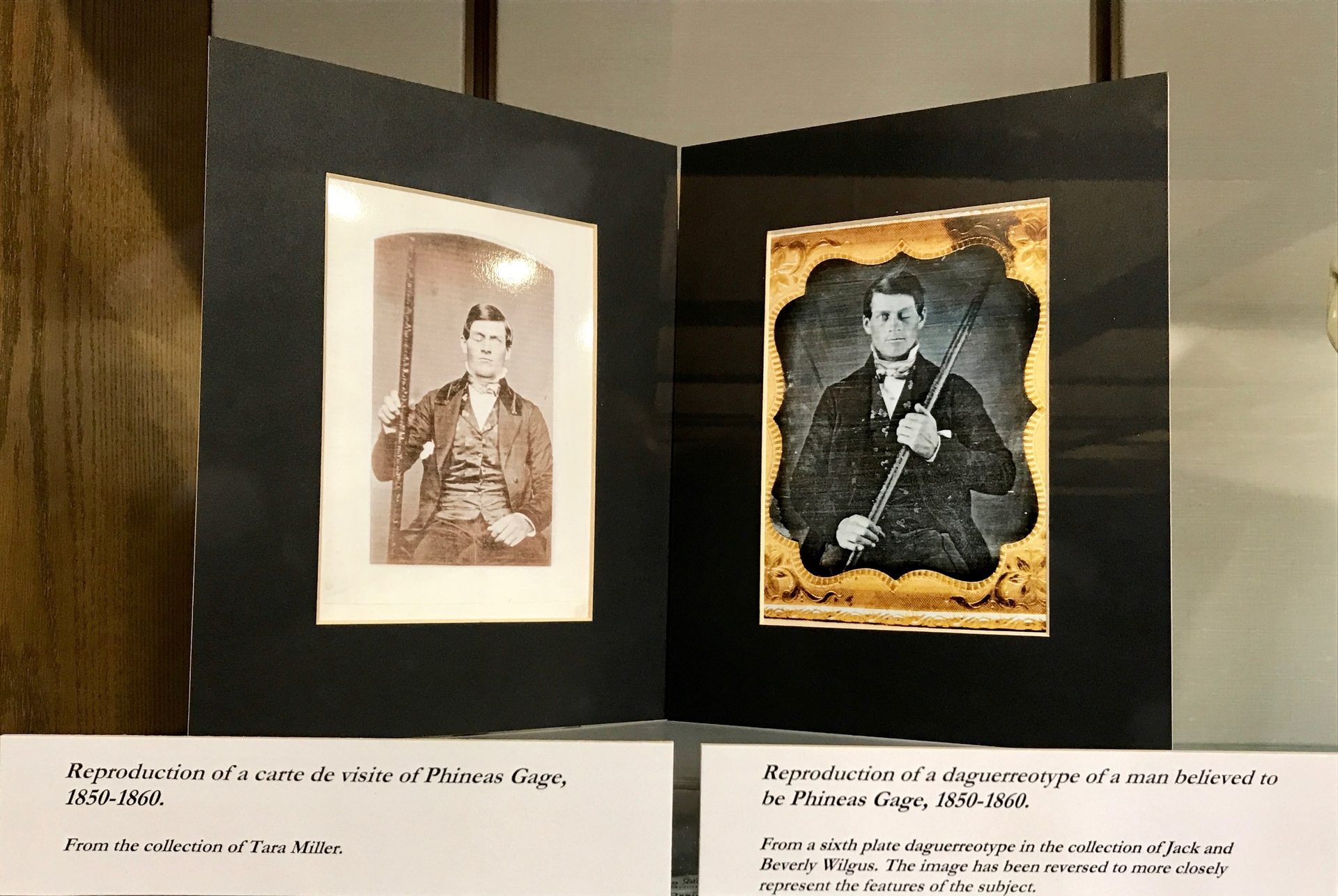 Phineas Gage memorabilia, Warren Anatomical Museum, Boston (by Luca Ambrosio) - 01.jpg